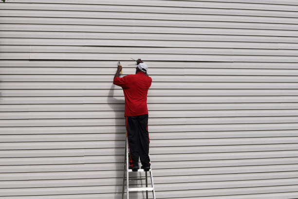 Affordable Siding Repair and Maintenance Services in Princeton, TX